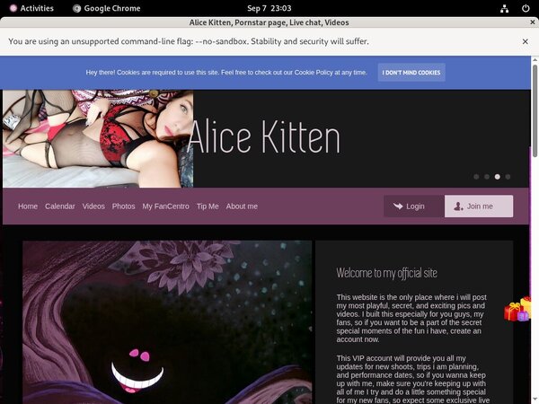 Alice Kitten Account Generator