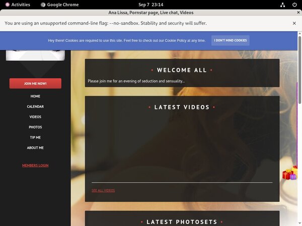 Ana Lissa Web Billing Ana Lissa Web Billing