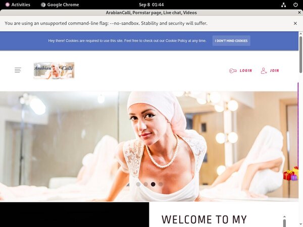 Arabiancalli.modelcentro.com Premium Logins