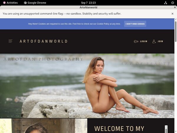 Artofdan Gift Card