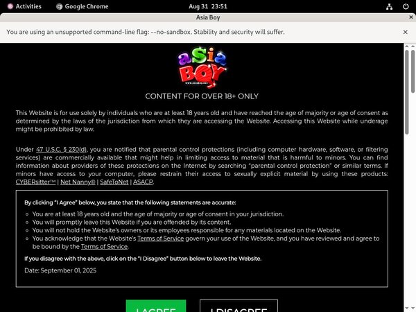 Asia Boy Full Access