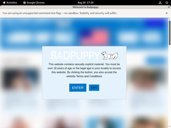 Badpuppy.com New Accounts