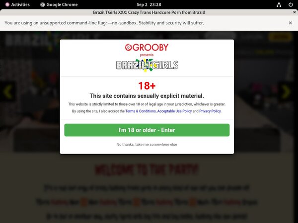 Brazil TGirls XXX Scenes