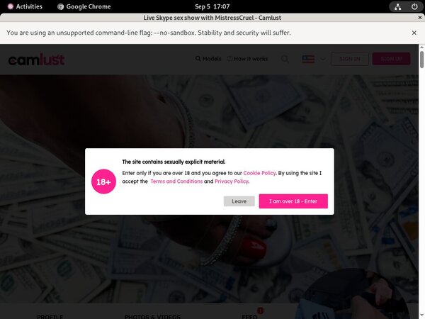 Camlust.com Free Premium Passwords