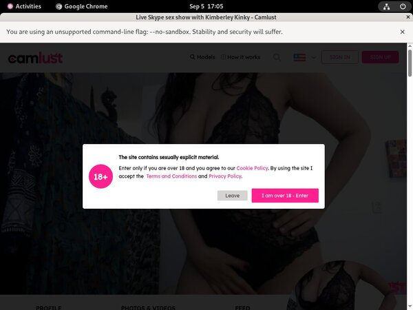 Camlust.com Free Xxx