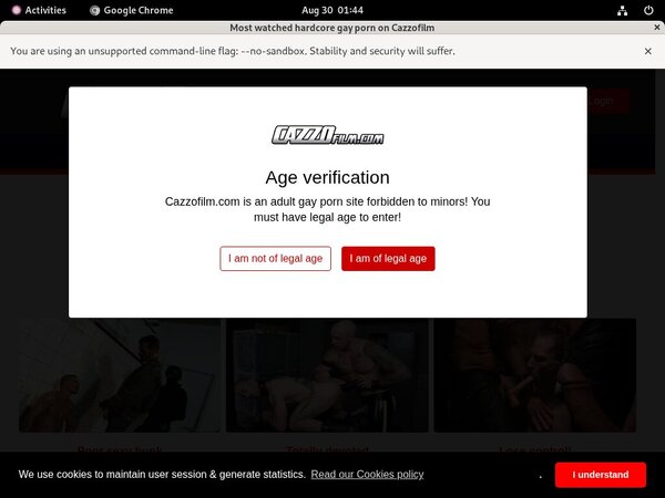 Cazzo Passwords
