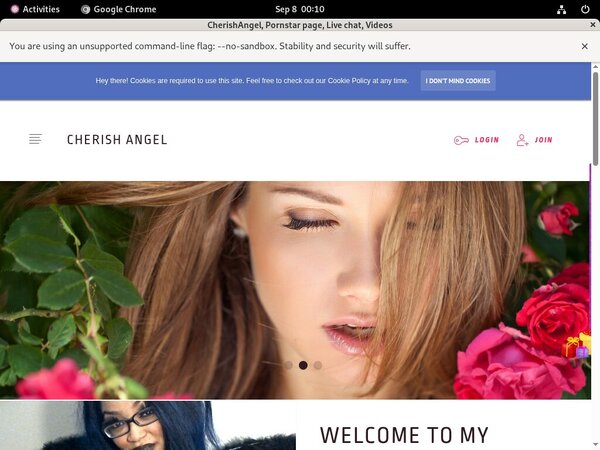 Cherishangel.modelcentro.com Webbilling