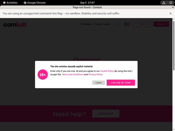 Com Camlust Premium Account