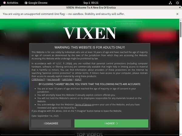 Com Vixen Epoch