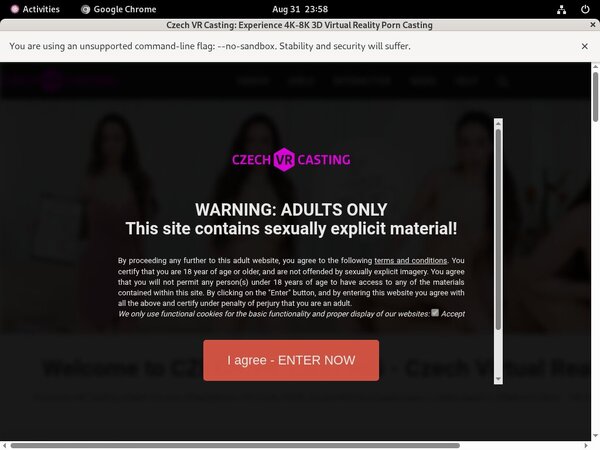 Czechvrcasting.com Membership Plan