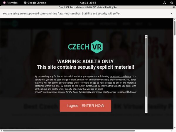 Czechvr.com Bug Me Not