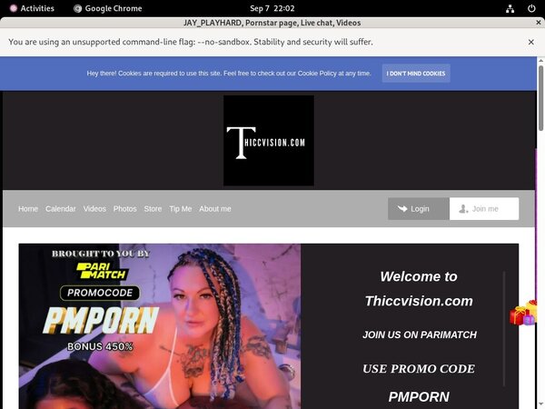 Discount Thiccvision.com Price