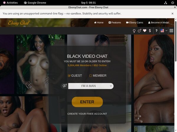 Ebony Chat Active Accounts