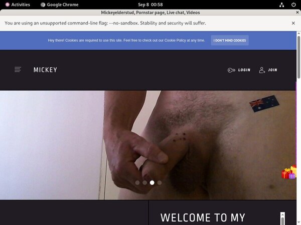 Free Trial For Mickeyelderstud
