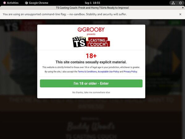 Free Ts-castingcouch.com User