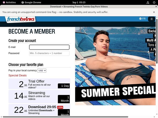 French-twinks.com Account Passwords
