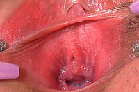 Gapemypussy.com Men s0