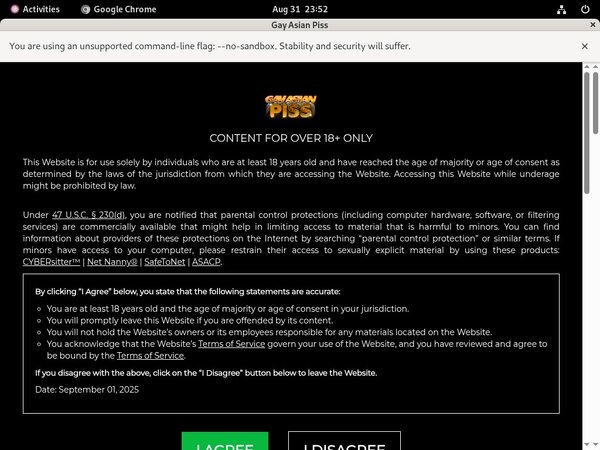 Gay Asian Piss Site Rip Download