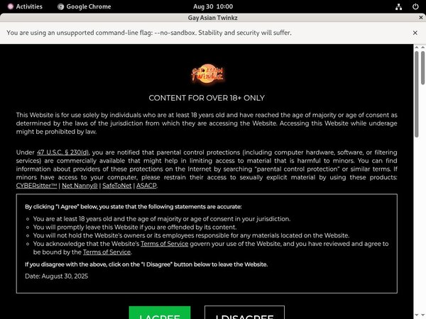 Gayasiantwinkz.com ??? ???