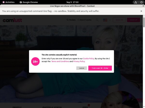 Get A Free Camlust.com Login
