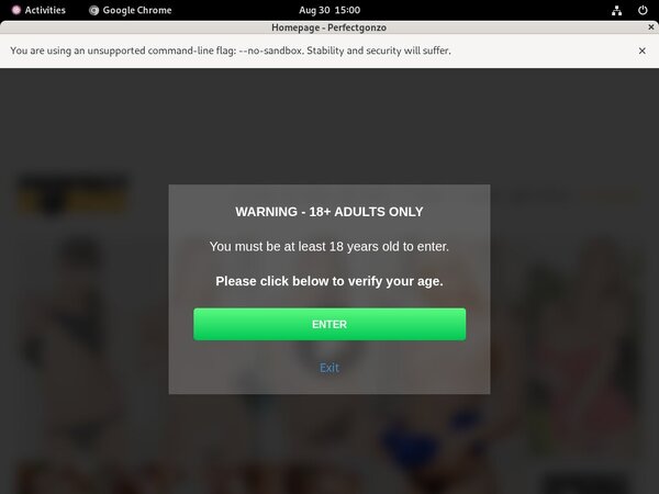 Get A Free Perfectgonzo.com Login