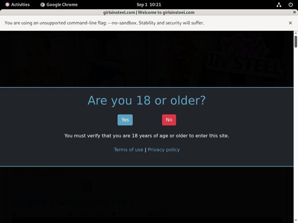 Girls In Steel Discount Logins