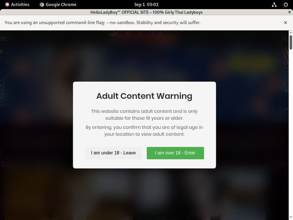 Hello Ladyboy Webcam