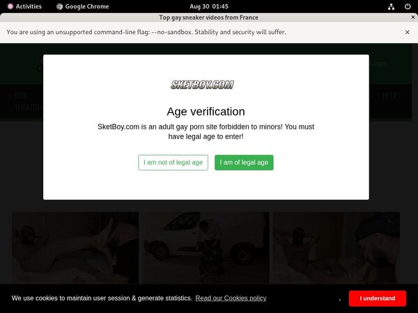 How To Get On Sketboy.com For Free