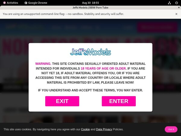 Jeff's Models Allow Paypal