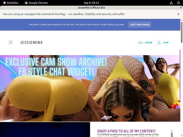 JessieMinx Adult Passwords