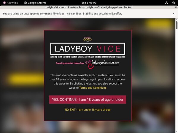 Ladyboy Vice Discount Save