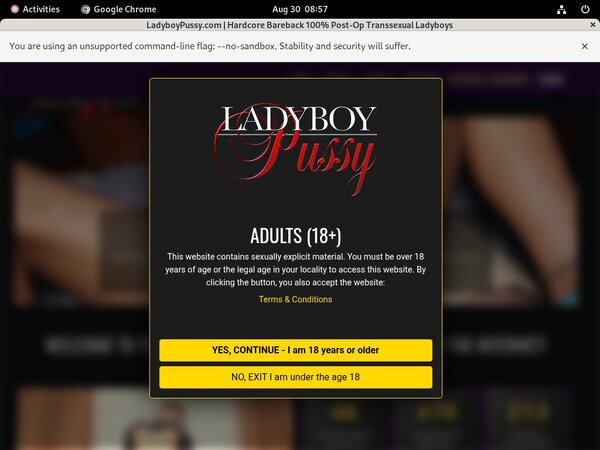 Ladyboypussy.com Instant Access