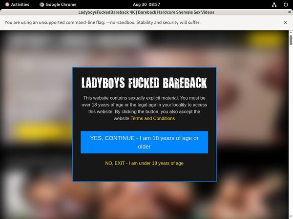Ladyboysfuckedbareback.com Account Discount