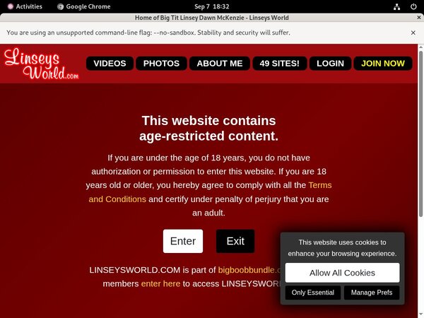 Linseysworld Discount Rate