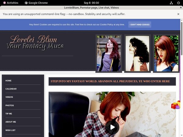 LoreleiBlum Login Codes