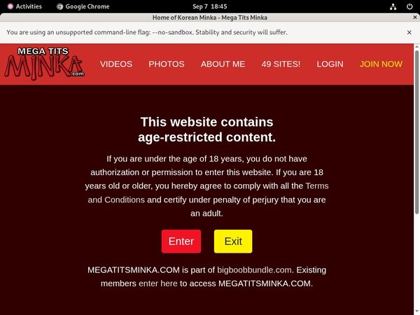 Megatitsminka Porn Review