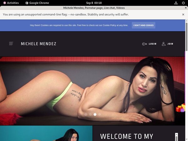 Michele Mendez Credits