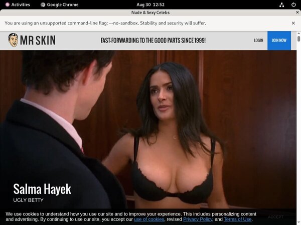 Mr Skin Gratis Password