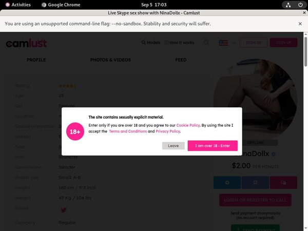Ninadollx Discount Checkout