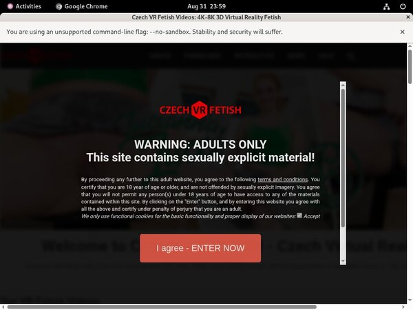 Passwords Czechvrfetish Free