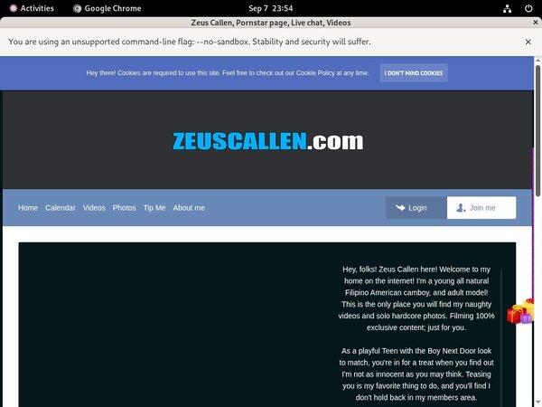 Passwords To Zeuscallen
