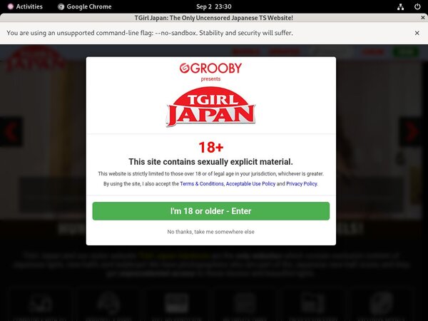 Paypal Tgirljapan.com?