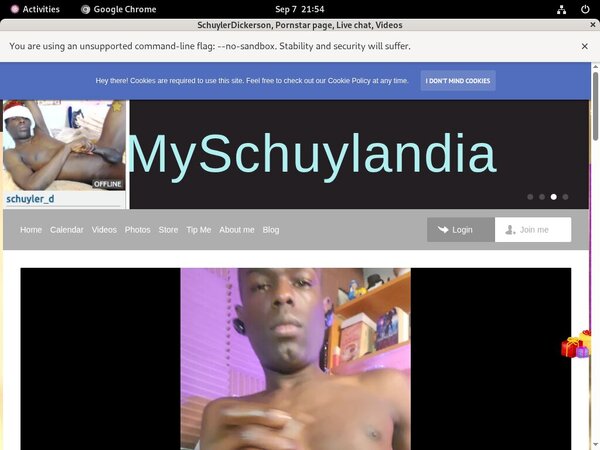 SchuylerDickerson Webcam