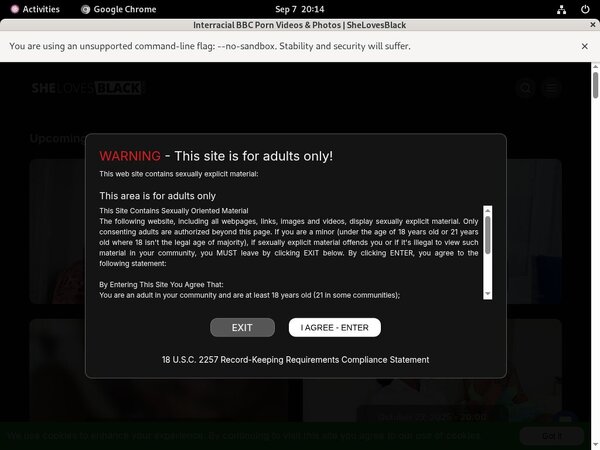 She Loves Black Porn Hub