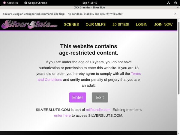 Silver Sluts Free Trial Price
