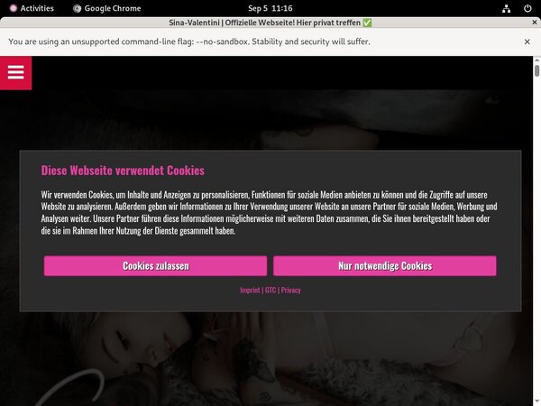 Sina Valentini Paysite Passwords