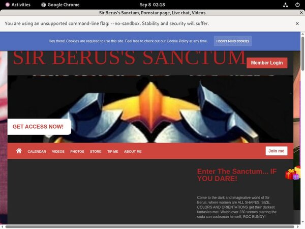 Sir Berus's Sanctum Password Username