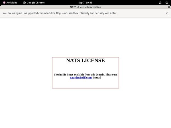 Thesinslife.com Checkout Form