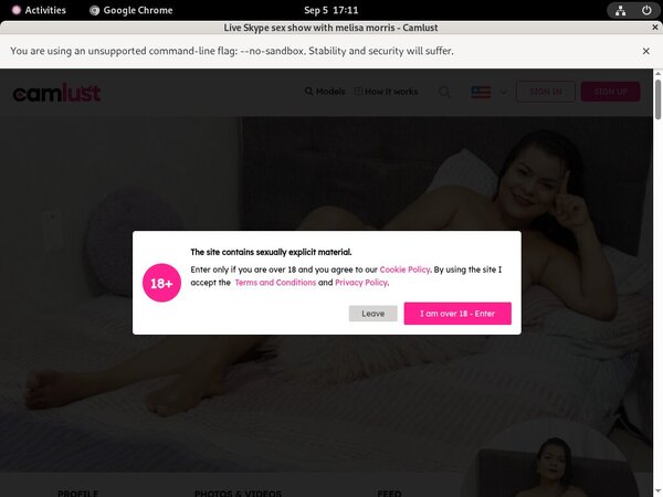 Using Paypal MelisaMorris