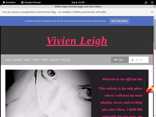 Vivienleighandme.modelcentro.com Free Entry